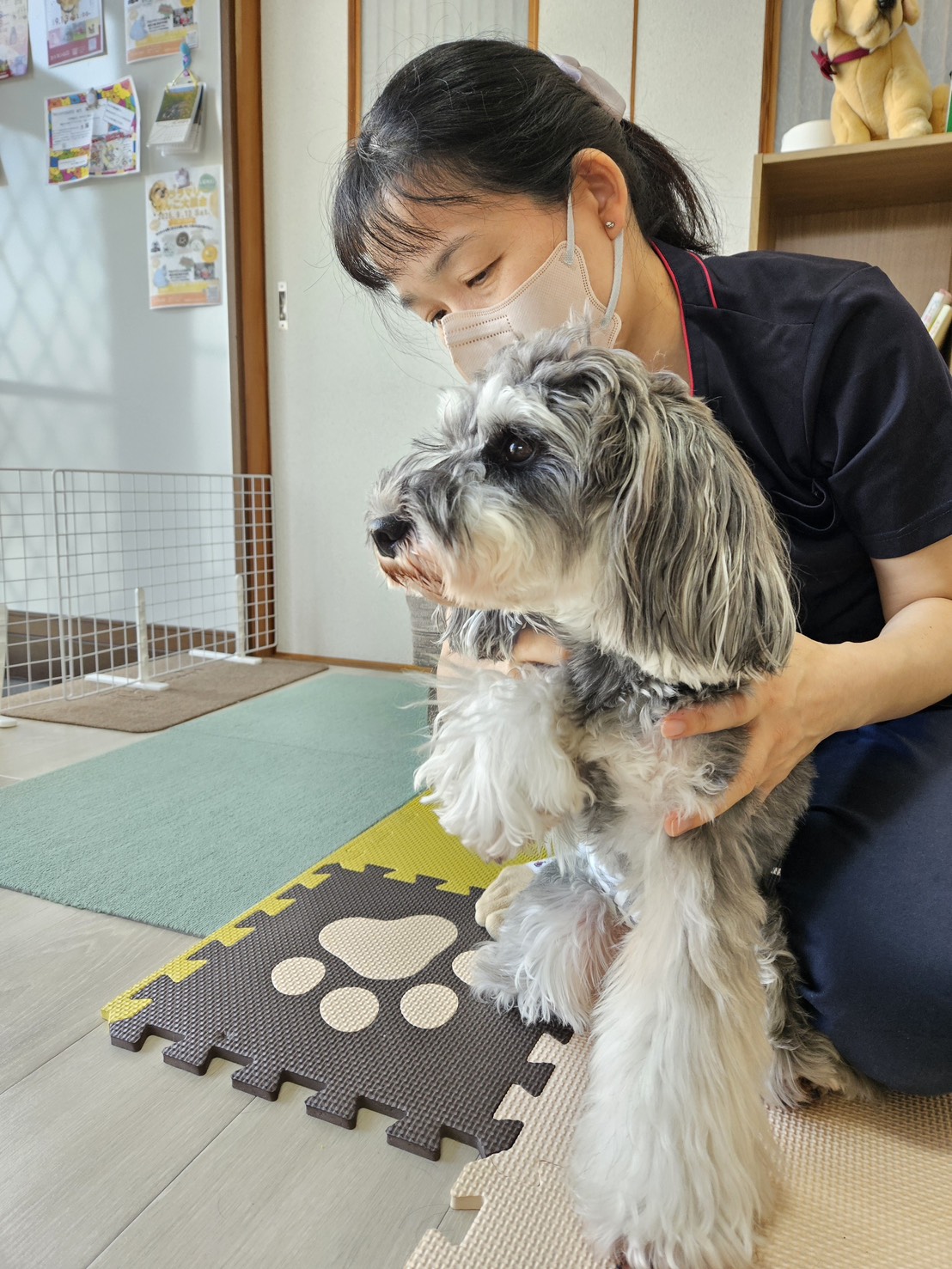 活動写真1