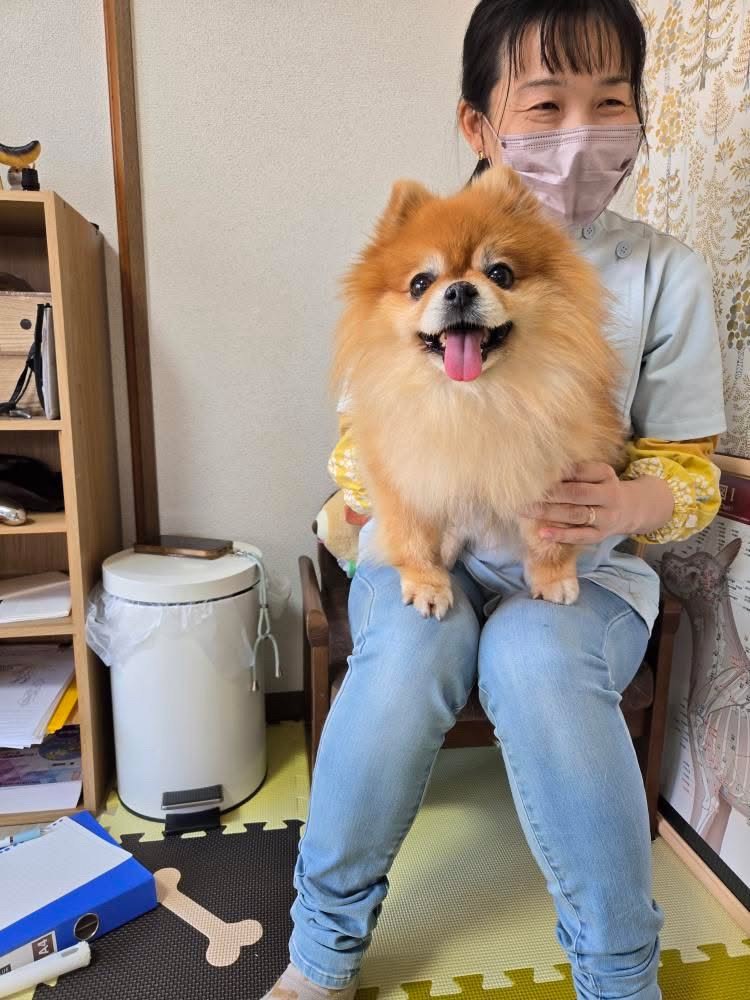 活動写真2