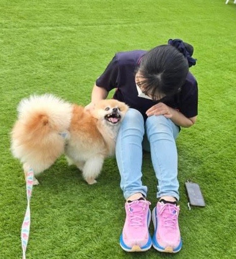 活動写真3
